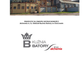 Fabryka, zakład na sprzedaż, Chorzów Chorzów Batory, 11 500 000 zł, 22 081,97 m2, 1538644913