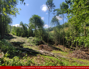 Działka na sprzedaż, kłodzki Lądek-Zdrój Konradów, 190 000 zł, 1500 m2, 1539127433