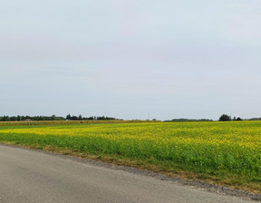 Budowlany do wynajęcia, wejherowski Szemud Kielno, 10 000 zł, 5000 m2, 1539377461