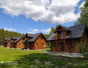 Ośrodek wypoczynkowy na sprzedaż, płocki Łąck, 1 950 000 zł, 380 m2, 1539707480