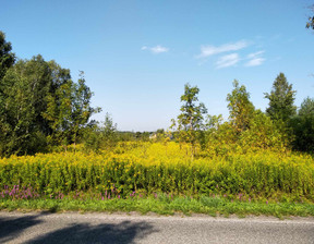 Działka na sprzedaż, stalowowolski Bojanów Stany Kolbuszowska, 385 000 zł, 5500 m2, 1539300550