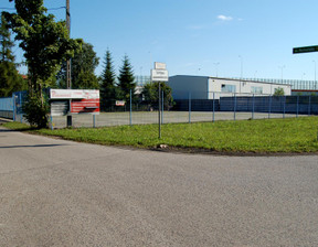 Handlowo-usługowy do wynajęcia, pruszkowski Michałowice Rumuńska, 7000 zł, 1200 m2, 1539490782