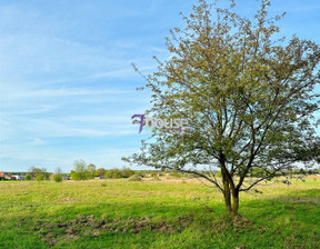 Budowlany na sprzedaż, Tarnogórski Tworóg Świniowice, 139 000 zł, 1000 m2, 7HO-GS-24238