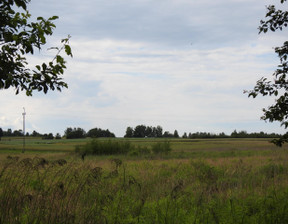 Działka na sprzedaż, Myszkowski Koziegłowy Wojsławice Jasna, 245 000 zł, 6830 m2, 2206