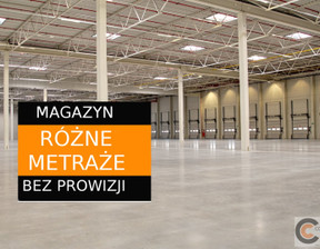 Magazyn do wynajęcia, Kraków M. Kraków Nowa Huta, 58 000 zł, 2400 m2, CCN-HW-3425