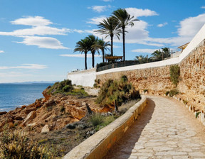 Kawalerka na sprzedaż, Hiszpania Walencja Alicante Playa Flamenca, 66 000 euro (285 780 zł), 30 m2, 10376