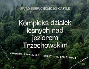 Leśne na sprzedaż, Starogardzki (pow.) Kaliska (gm.) Iwiczno, 89 000 zł, 3000 m2, 2022/GD/KK/9