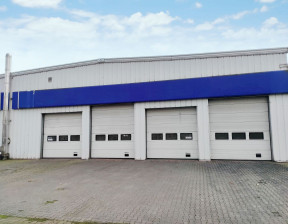 Hala do wynajęcia, Wrocław Krzyki, 33 000 zł, 1100 m2, 3641160749