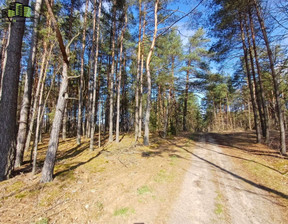 Leśne na sprzedaż, Białostocki Zabłudów Skrybicze, 220 000 zł, 25 865 m2, CEN-GS-2539