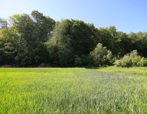 Budowlany na sprzedaż, Jaworski Paszowice Myślibórz, 249 000 zł, 1618 m2, 168/4132/OGS