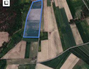 Rolny na sprzedaż, Zambrowski (Pow.) Zambrów (Gm.) Grochy-Łętownica, 1 400 000 zł, 73 966 m2, 05/DDD/2024