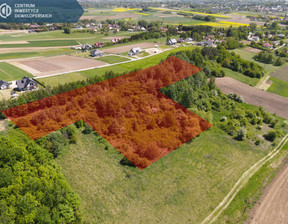 Działka na sprzedaż, Rzeszowski Boguchwała Racławówka, 190 000 zł, 8300 m2, 33/8310/OGS