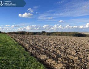 Działka na sprzedaż, Rzeszowski Boguchwała Niechobrz, 300 000 zł, 2138 m2, 171/8310/OGS