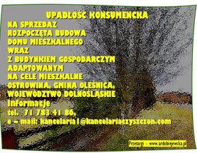 Budowlany na sprzedaż, Oleśnicki Oleśnica Ostrowina, 372 000 zł, 5000 m2, 39054/3186/OGS