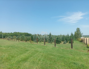 Działka na sprzedaż, Trzebnicki Oborniki Śląskie Golędzinów, 1 200 000 zł, 55 000 m2, 239051