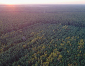 Działka na sprzedaż, Wyszkowski Brańszczyk Trzcianka, 150 000 zł, 25 988 m2, 859248