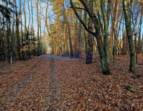 Działka na sprzedaż, Grodziski Żabia Wola Petrykozy Za Gajem, 111 000 zł, 800 m2, 4211