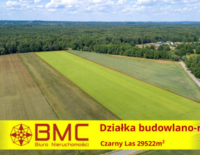 Działka na sprzedaż, Woźniki Czarny Las Czarny Las, 450 000 zł, 29 522 m2, 133388