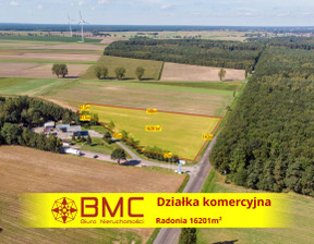 Działka na sprzedaż, Wielowieś Radonia, 796 000 zł, 16 204 m2, 128197