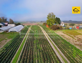 Działka na sprzedaż, Łęczyński Ludwin Zezulin Niższy Zezulin, 195 000 zł, 10 017 m2, 641070308