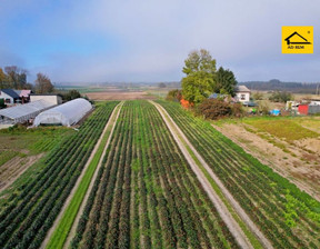 Budowlany na sprzedaż, Łęczyński Ludwin Zezulin Niższy Zezulin, 195 000 zł, 10 017 m2, 639310308