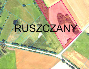 Działka na sprzedaż, Białostocki Choroszcz Ruszczany, 906 000 zł, 22 100 m2, 942131