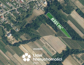 Działka na sprzedaż, Opolski Wilków Rogów, 79 000 zł, 8000 m2, 481945