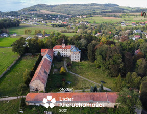 Działka na sprzedaż, Jeleniogórski Jeżów Sudecki Dziwiszów Dębowa, 3 800 000 zł, 3500 m2, 638521