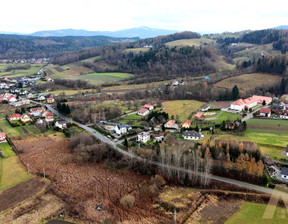 Działka na sprzedaż, Nowosądecki Stary Sącz Gaboń, 550 000 zł, 6900 m2, KN813529