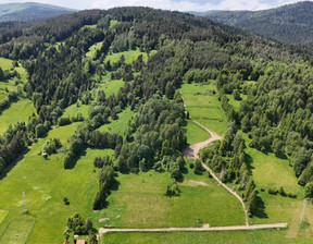 Rolny na sprzedaż, Nowosądecki Łabowa Nowa Wieś, 450 000 zł, 38 500 m2, KN406191