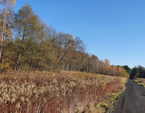 Działka na sprzedaż, Otwocki Wiązowna Duchnów, 679 000 zł, 3000 m2, 198