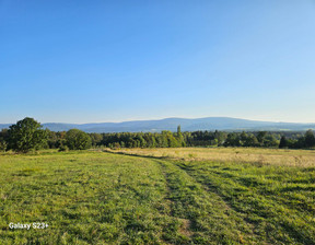 Działka na sprzedaż, Lubański Leśna, 205 000 zł, 2060 m2, 1079660124