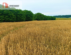 Działka na sprzedaż, Bydgoski Sicienko Osówiec, 135 000 zł, 862 m2, 966010