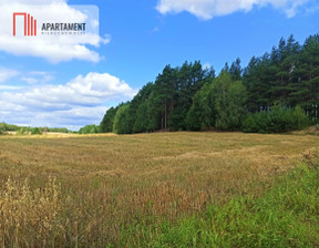 Działka na sprzedaż, Świecki Osie Miedzno, 135 000 zł, 3000 m2, 555568