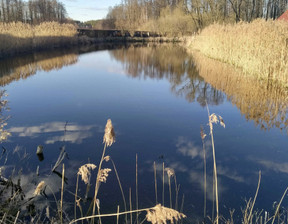 Działka na sprzedaż, Bydgoski Białe Błota Kruszyn Krajeński Osiedlowa, 365 000 zł, 3743 m2, 378659