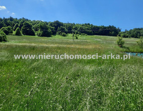 Rolny na sprzedaż, Limanowski Limanowa Młynne, 69 000 zł, 3800 m2, ARK-GS-18042