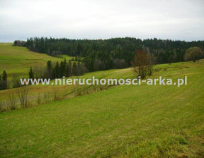 Rolny na sprzedaż, Nowotarski Rabka-Zdrój, 30 000 zł, 1000 m2, ARK-GS-13001-29