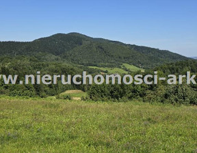 Budowlany na sprzedaż, Myślenicki Wiśniowa Wierzbanowa, 130 000 zł, 1300 m2, ARK-GS-18743