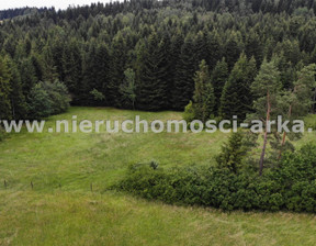 Leśne na sprzedaż, Nowotarski Raba Wyżna Skawa, 125 000 zł, 5300 m2, ARK-GS-18717-1