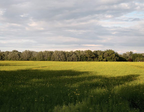 Rolny na sprzedaż, Ełcki (Pow.), 24 000 000 zł, 3 000 000 m2, 18053-1