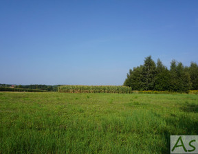 Działka na sprzedaż, Krakowski (pow.) Zabierzów (gm.) Zelków, 450 000 zł, 2008 m2, 323