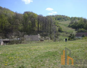 Działka na sprzedaż, Ząbkowicki Złoty Stok Laski, 1 720 000 zł, 17 200 m2, 293/8464/OGS