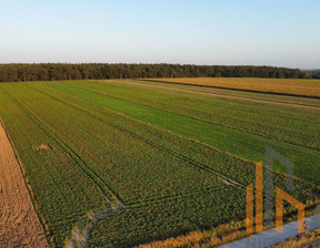 Działka na sprzedaż, Trzebnicki Oborniki Śląskie Golędzinów, 193 000 zł, 1072 m2, 305/8464/OGS