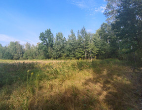 Budowlany na sprzedaż, Miński (Pow.) Halinów (Gm.) Królewskie Brzeziny, 1 550 000 zł, 3740 m2, 124