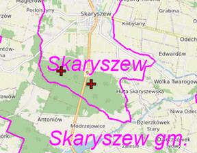 Działka na sprzedaż, Radomski (Pow.) Skaryszew (Gm.) Skaryszew, 62 242 zł, 19 430 m2, 253