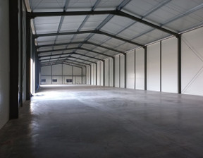 Hala do wynajęcia, Wrocław Psie Pole, 45 000 zł, 1500 m2, 5090358