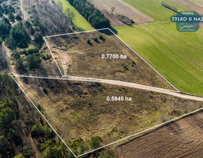 Działka na sprzedaż, Sieradzki Goszczanów Wilczków, 150 360 zł, 13 536 m2, 530587