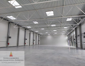 Magazyn do wynajęcia, Zabrze Szkubacza, 1687 euro (7187 zł), 250 m2, GE01812