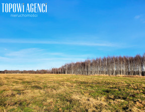 Handlowo-usługowy na sprzedaż, Grodziski (pow.) Grodzisk Mazowiecki (gm.) Książenice Mazowiecka, 3 000 000 zł, 21 623 m2, TOP280843