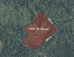 Działka na sprzedaż, Nowotarski (Pow.) Ochotnica Dolna (Gm.) Młynne, 310 000 zł, 29 128 m2, 177